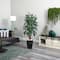 5.5ft. Potted Raphis Palm Tree in Black Decorative Planter